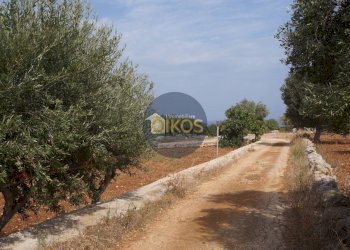 Foto 1 - Terreno agricolo Strada Comunale Fusella, Polignano a Mare - foto 1