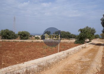 Foto 5 - Terreno agricolo Strada Comunale Fusella, Polignano a Mare - foto 5