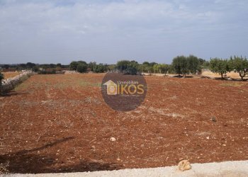 Foto 6 - Terreno agricolo Strada Comunale Fusella, Polignano a Mare - foto 6