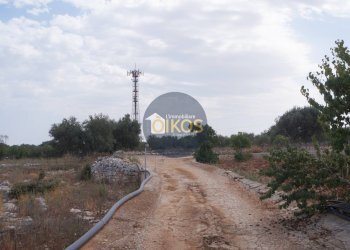 Foto 7 - Terreno agricolo Strada Comunale Fusella, Polignano a Mare - foto 7