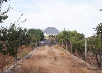 Foto 8 - Terreno agricolo Strada Comunale Fusella, Polignano a Mare - foto 8