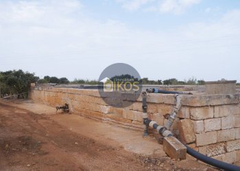 Foto 10 - Terreno agricolo Strada Comunale Fusella, Polignano a Mare - foto 10