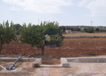 Foto 12 - Terreno agricolo Strada Comunale Fusella, Polignano a Mare - foto 12