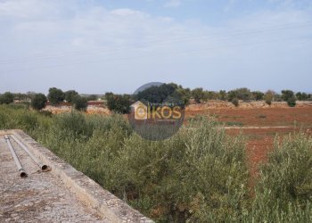 Foto 13 - Terreno agricolo Strada Comunale Fusella, Polignano a Mare - foto 13