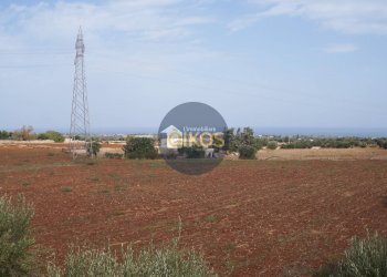 Foto 15 - Terreno agricolo Strada Comunale Fusella, Polignano a Mare - foto 15