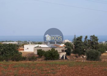 Foto 16 - Terreno agricolo Strada Comunale Fusella, Polignano a Mare - foto 16