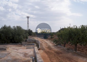 Foto 17 - Terreno agricolo Strada Comunale Fusella, Polignano a Mare - foto 17