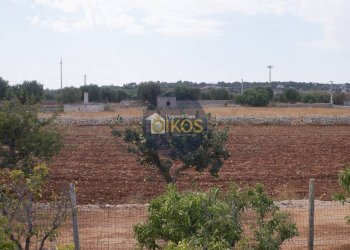 Foto 18 - Terreno agricolo Strada Comunale Fusella, Polignano a Mare - foto 18