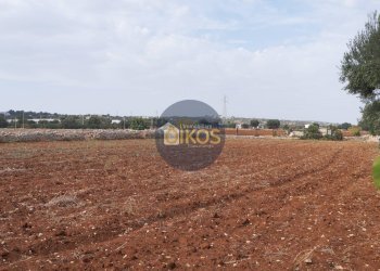 Foto 21 - Terreno agricolo Strada Comunale Fusella, Polignano a Mare - foto 21