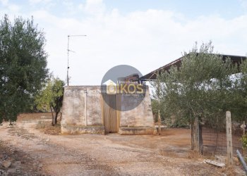 Foto 22 - Terreno agricolo Strada Comunale Fusella, Polignano a Mare - foto 22