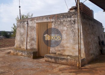 Foto 23 - Terreno agricolo Strada Comunale Fusella, Polignano a Mare - foto 23