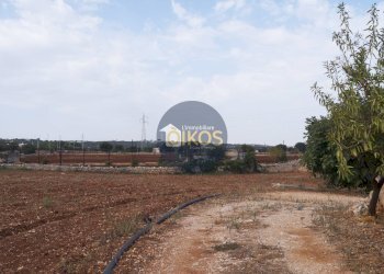 Foto 25 - Terreno agricolo Strada Comunale Fusella, Polignano a Mare - foto 25