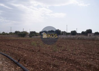 Foto 26 - Terreno agricolo Strada Comunale Fusella, Polignano a Mare - foto 26