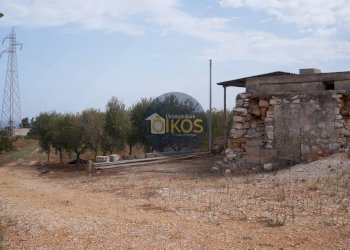 Foto 27 - Terreno agricolo Strada Comunale Fusella, Polignano a Mare - foto 27