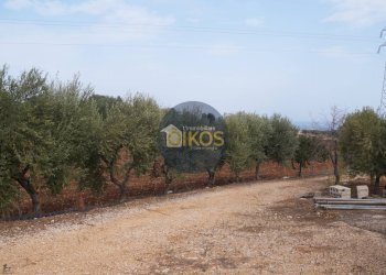 Foto 28 - Terreno agricolo Strada Comunale Fusella, Polignano a Mare - foto 28