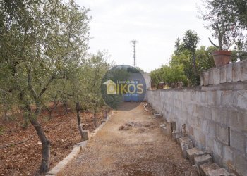 Foto 31 - Terreno agricolo Strada Comunale Fusella, Polignano a Mare - foto 31