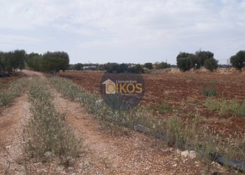 Foto 33 - Terreno agricolo Strada Comunale Fusella, Polignano a Mare - foto 33