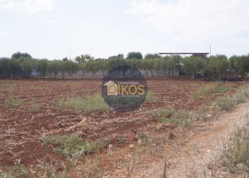 Foto 35 - Terreno agricolo Strada Comunale Fusella, Polignano a Mare - foto 35