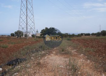 Foto 38 - Terreno agricolo Strada Comunale Fusella, Polignano a Mare - foto 38