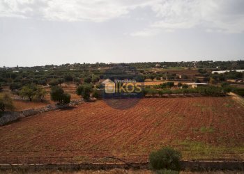 Foto 41 - Terreno agricolo Strada Comunale Fusella, Polignano a Mare - foto 41