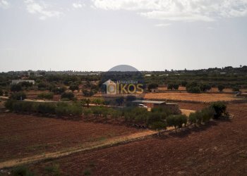 Foto 42 - Terreno agricolo Strada Comunale Fusella, Polignano a Mare - foto 42