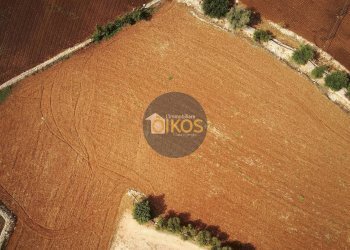 Foto 44 - Terreno agricolo Strada Comunale Fusella, Polignano a Mare - foto 44