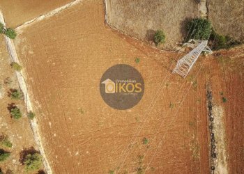 Foto 45 - Terreno agricolo Strada Comunale Fusella, Polignano a Mare - foto 45