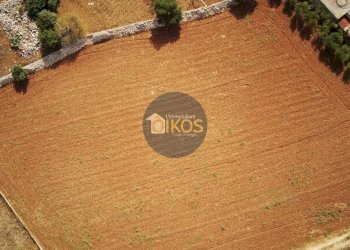 Foto 46 - Terreno agricolo Strada Comunale Fusella, Polignano a Mare - foto 46