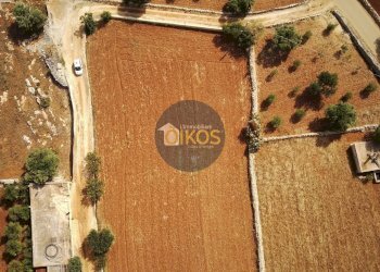 Foto 48 - Terreno agricolo Strada Comunale Fusella, Polignano a Mare - foto 48