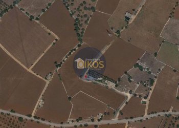 Foto 50 - Terreno agricolo Strada Comunale Fusella, Polignano a Mare - foto 50