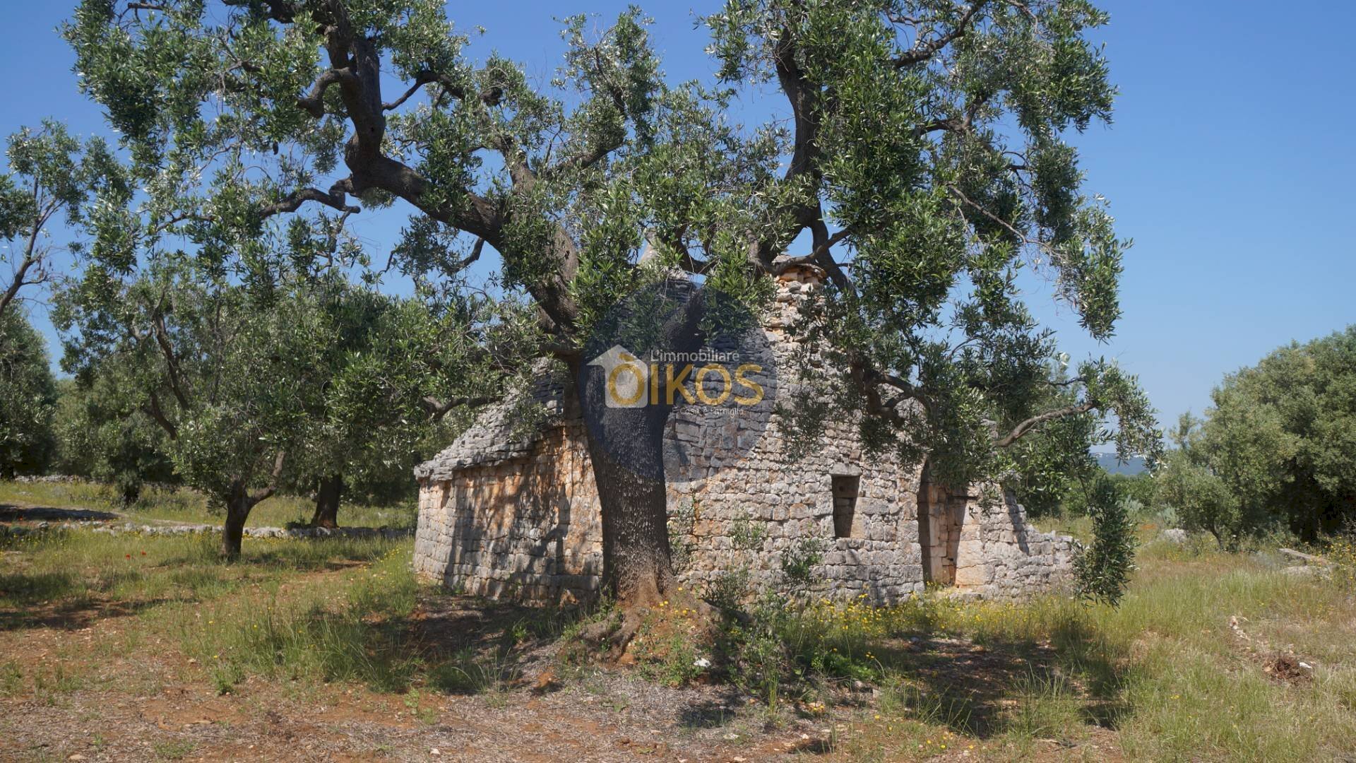 Foto 3 - Rustico contrada salamina, Fasano - foto 3