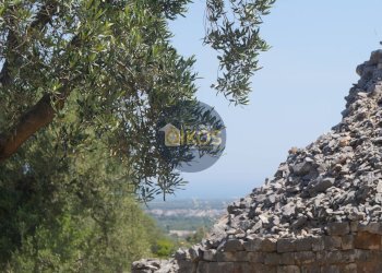 Foto 6 - Rustico contrada salamina, Fasano - foto 6