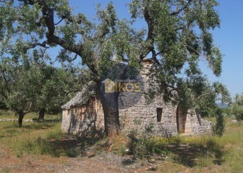 Foto 3 - Rustico contrada salamina, Fasano - foto 3