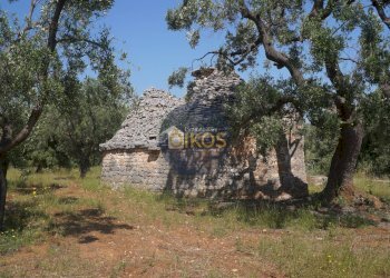 Foto 4 - Rustico contrada salamina, Fasano - foto 4