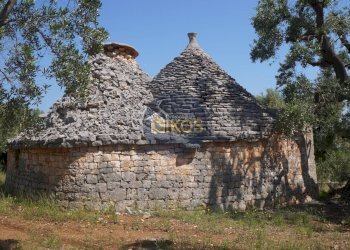 Foto 7 - Rustico contrada salamina, Fasano - foto 7