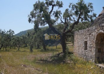 Foto 9 - Rustico contrada salamina, Fasano - foto 9