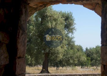 Foto 10 - Rustico contrada salamina, Fasano - foto 10