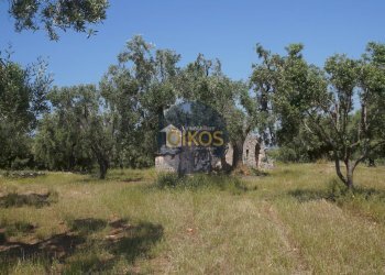 Foto 19 - Rustico contrada salamina, Fasano - foto 19