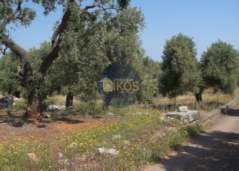 Foto 22 - Rustico contrada salamina, Fasano - foto 22