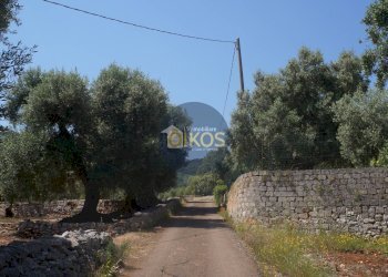 Foto 24 - Rustico contrada salamina, Fasano - foto 24