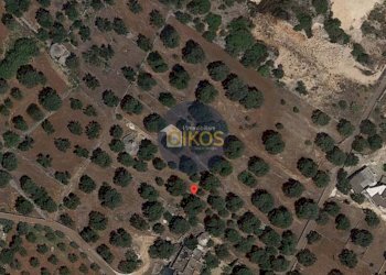 Foto 26 - Rustico contrada salamina, Fasano - foto 26