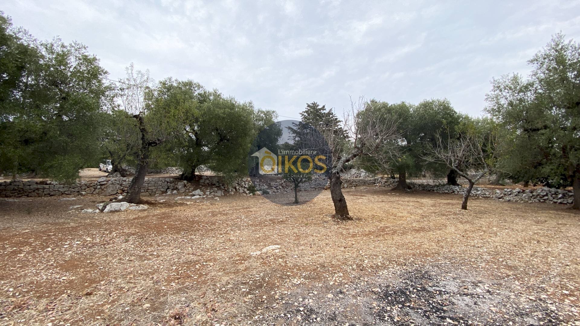 Foto 2 - Terreno edificabile Contrada Bellocchio, Monopoli - foto 2