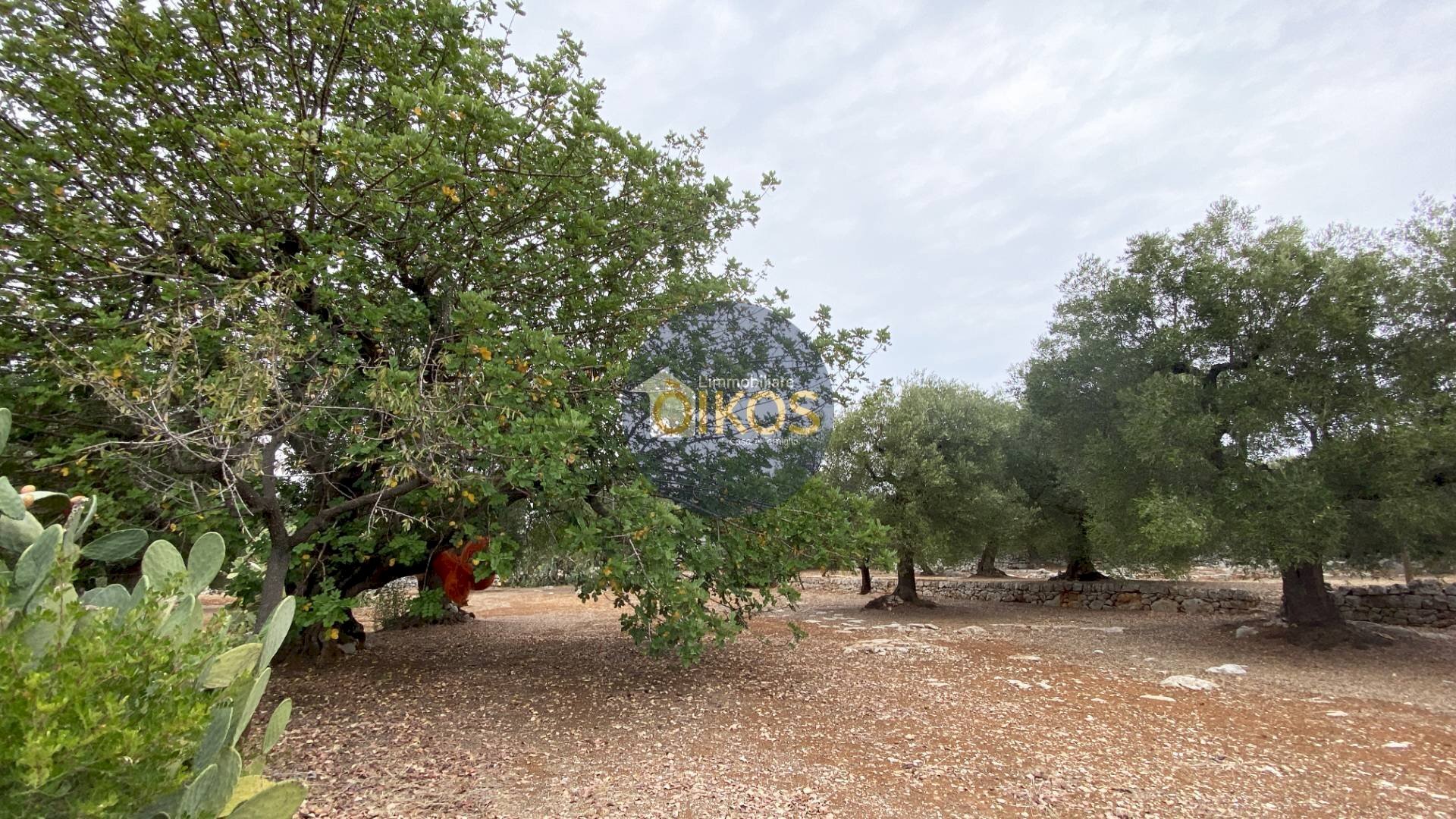 Foto 3 - Terreno edificabile Contrada Bellocchio, Monopoli - foto 3