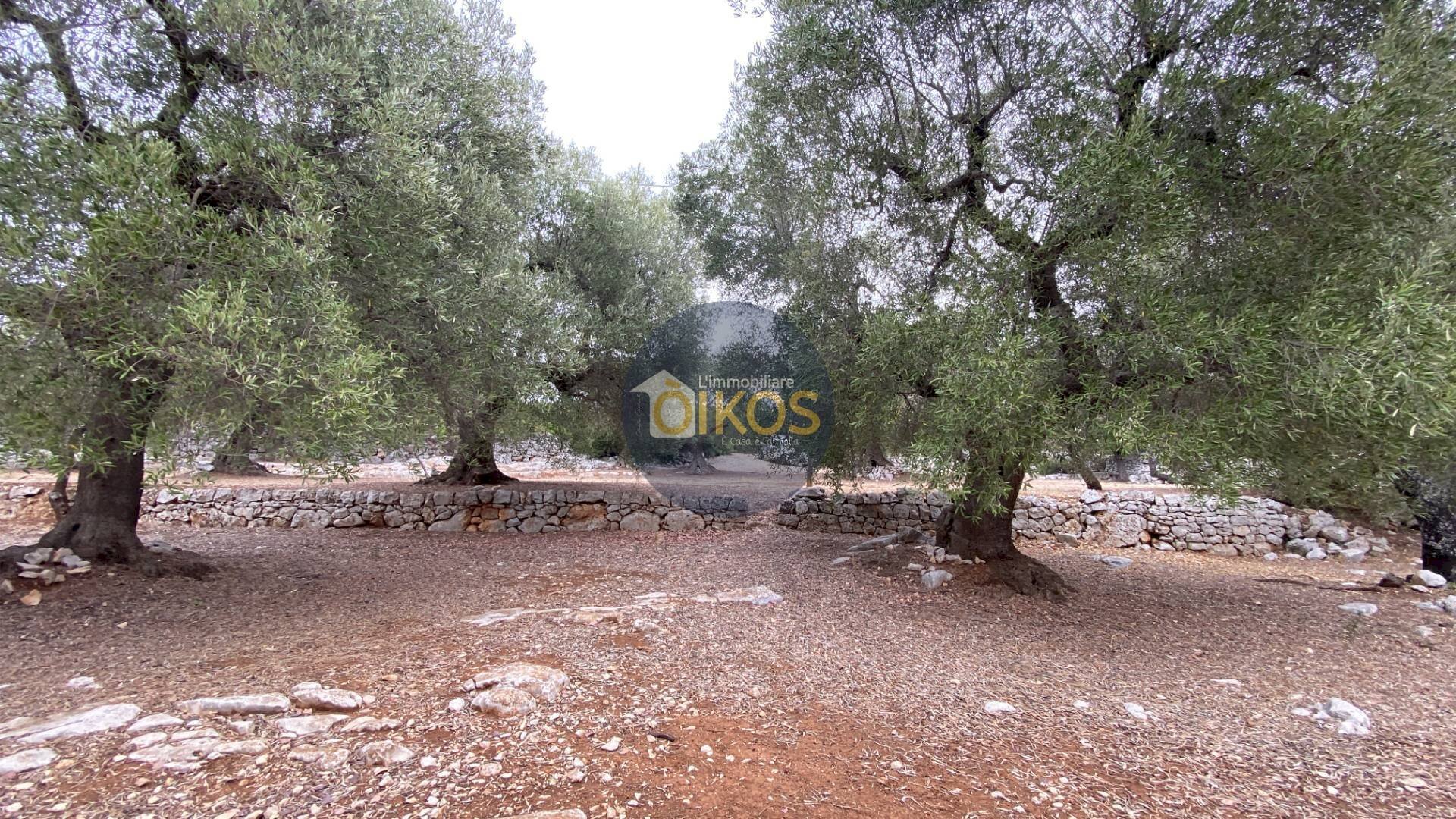 Foto 1 - Terreno edificabile Contrada Bellocchio, Monopoli - foto 1