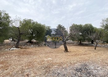 Foto 2 - Terreno edificabile Contrada Bellocchio, Monopoli - foto 2