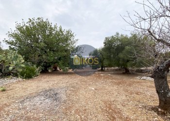 Foto 4 - Terreno edificabile Contrada Bellocchio, Monopoli - foto 4