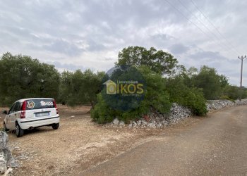 Foto 7 - Terreno edificabile Contrada Bellocchio, Monopoli - foto 7