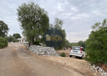 Foto 8 - Terreno edificabile Contrada Bellocchio, Monopoli - foto 8