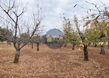 Foto 11 - Terreno edificabile Contrada Bellocchio, Monopoli - foto 11