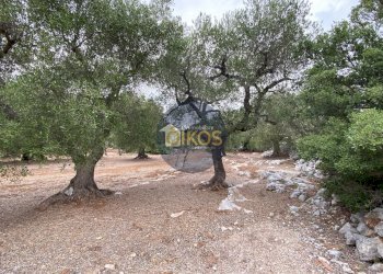 Foto 17 - Terreno edificabile Contrada Bellocchio, Monopoli - foto 17